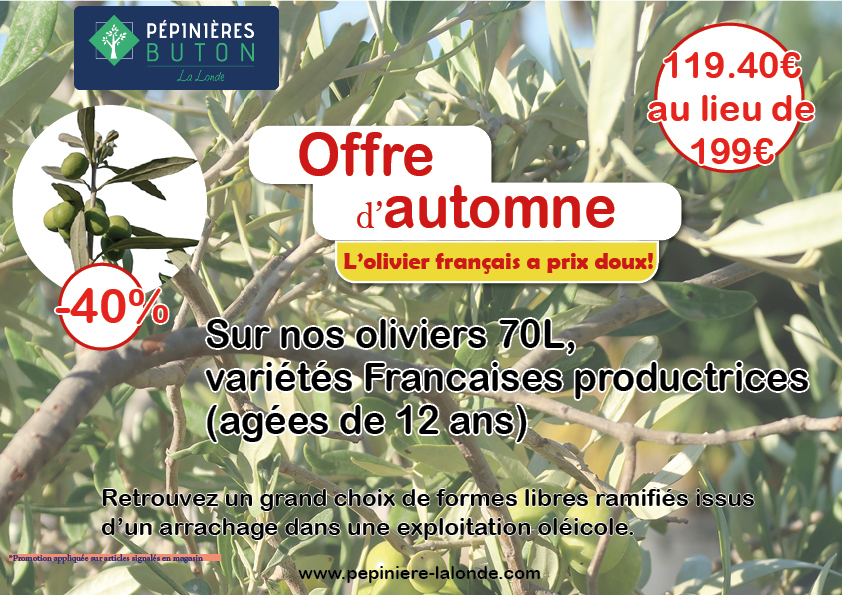 Promo olivier